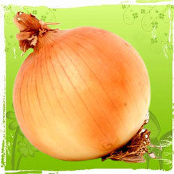 Superior Fresh Red Onions