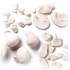 High Grade Customized Processed Mushrooms