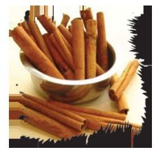 Hygienically Processed Cinnamon Powder