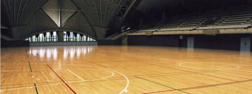 High Quality Sports Wooden Flooring