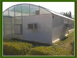 Eco Friendly Green Houses