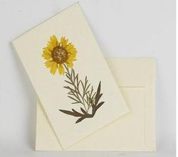 Handmade Paper Greeting Cards - Premium Quality Craft Paper, Eco-Friendly Materials, Unique Designs, Assured Reliability