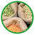 Indian Pure Organic Pulses