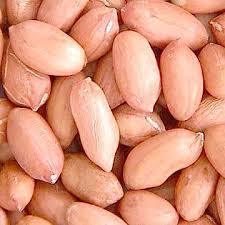 Farm Fresh Groundnut Kernels