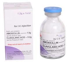 Amoxicillin Inj