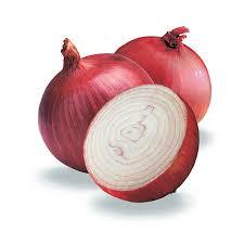Cheap Price Red Onion