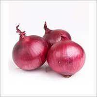 Curative Properties Red Onion