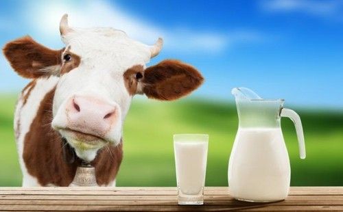 Impurities Free Milk