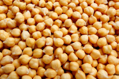 Nutritional Fresh White Chickpea