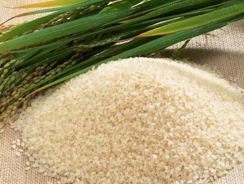 Safe Packaging Ir 64 Parboiled Rice