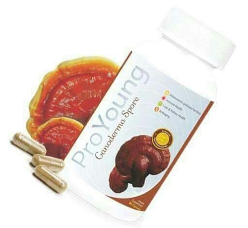 Ganoderma Spore Capsules