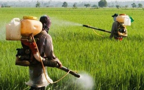 High Grade Agricultural Pesticide