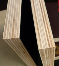 12mm, 15mm, 18mm Shuttering Plywood