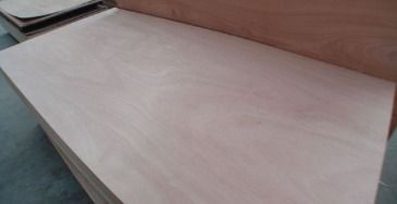 Bingtangor Plywood, Furniture Plywood Grade: First Class