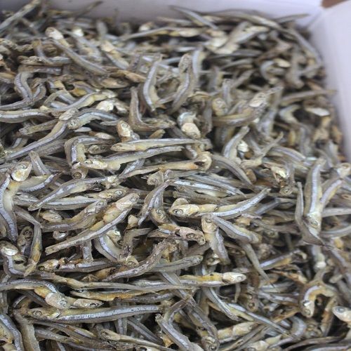 Fresh Dried Anchovy Fish