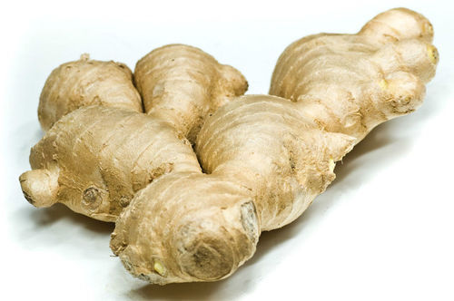 High Grade Fresh Ginger