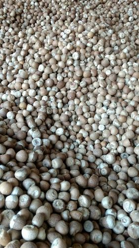 Premium Organic Areca Nut