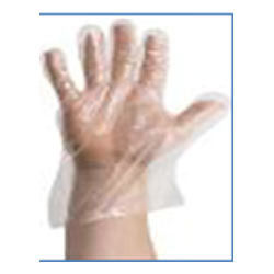 Transparent Disposable Gloves