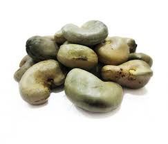 High Quality Raw Cashew Nut