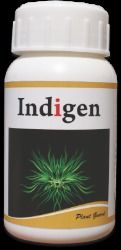 Indigen Organic Insecticide