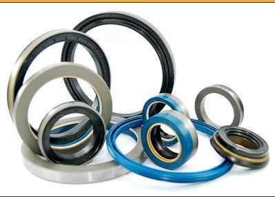 High Quality Oil Seal