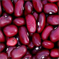 Fresh Red Kidney Bean