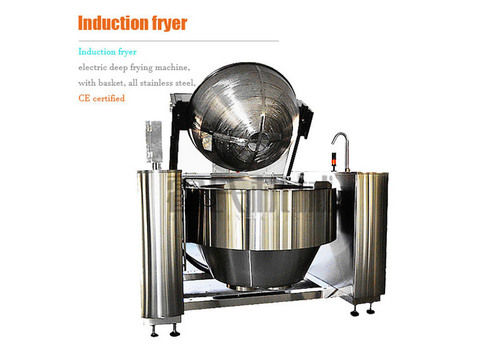 Induction Fryer With Timer