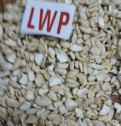 Quality Tested LWP Cashew Nuts