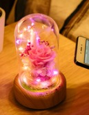 Eternal Flower LED Table Lamp