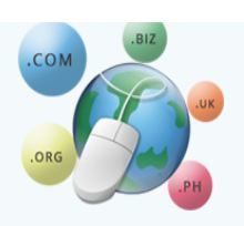 Top Domain Registration Service