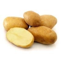 Excellent Taste Fresh Potato