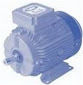 Heavy Duty Crompton LT Motors