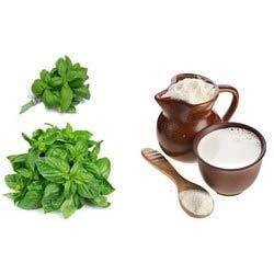 Natural Basil Leaves Powder