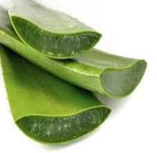 Aloe Vera Facial Scrub