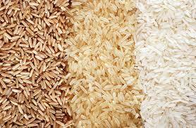 Organic Non Basmati Rice Rice Size: Medium Grain