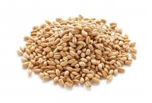 High Grade Milling Wheat