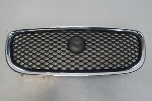 Radiator Grill With Perfect Amalgam Of Style