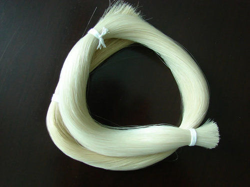 Violin Bow Horse Tail Hair