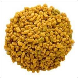 Fenugreek Seeds (Methi Dana)