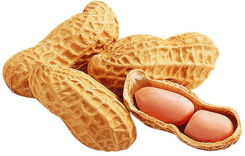 Nutritious And Healthy Peanut 