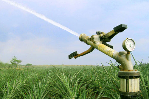 Agriculture Rain Gun Sprinkler