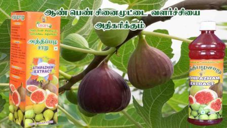 Fresh and Pure Athipazham Extract