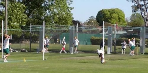 Highly Reliable Cricket Nets