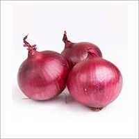 Red Onion Carefully Cultivated