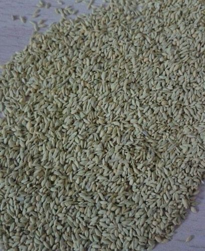 Natural Lawn Grass Seeds