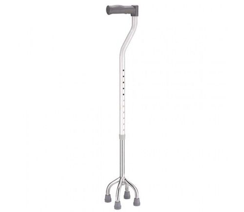 Rugged Structure Walking Stick