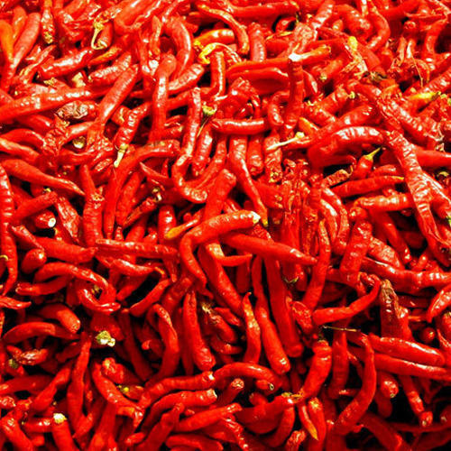 Best Price Dehydrated Red Chillies