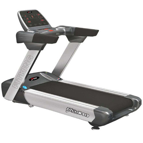 W 919 Ac Motorised Treadmill (Fitking)