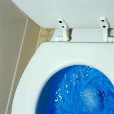 Blue Liquid Toilet Cleaner