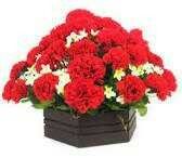 Red Color Decorative Artificial Flowers